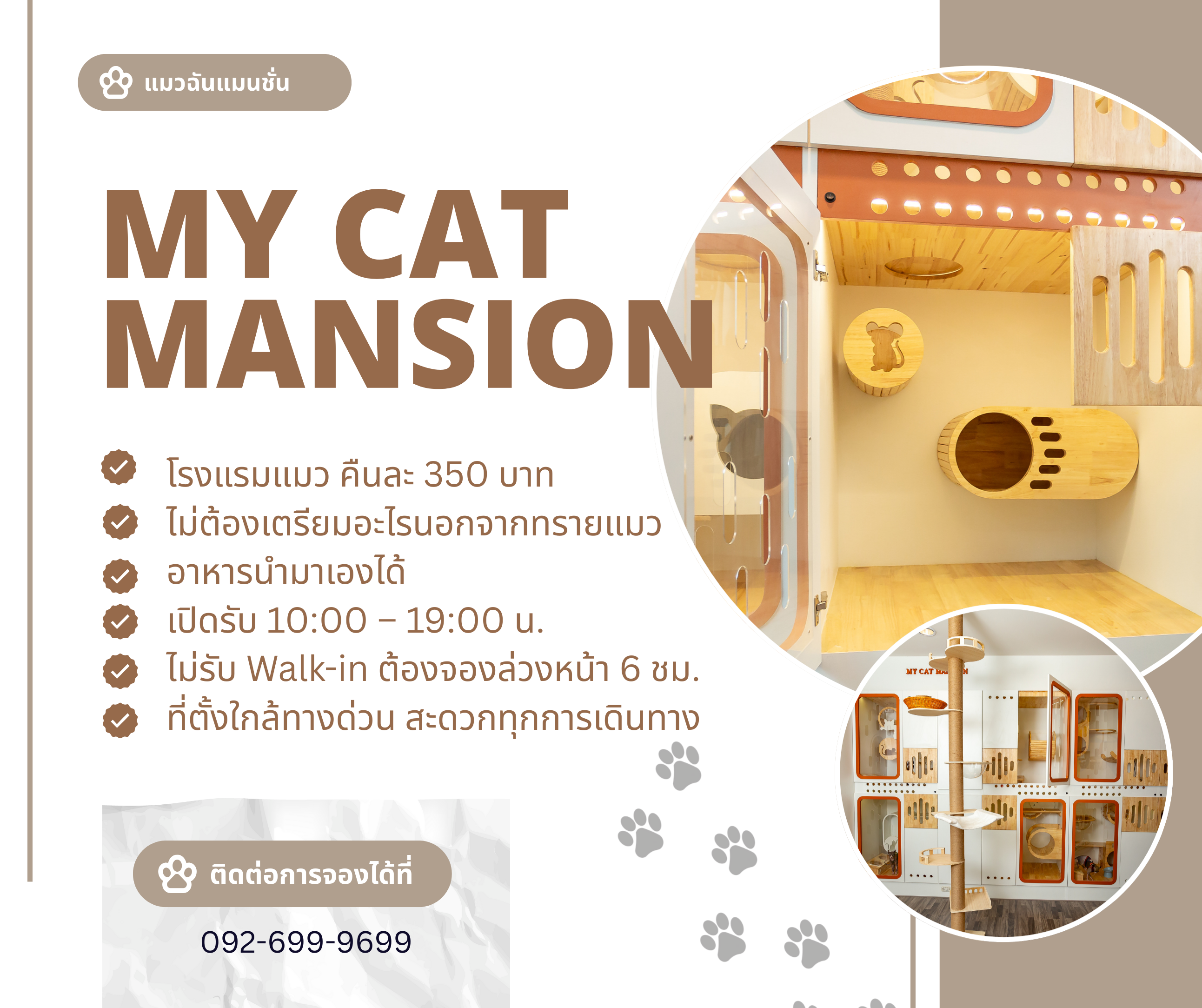 My Cat Mansion